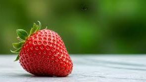 Tết 2026 này, cả gia đình hẹn nhau 'FACHILLY' cùng TV360