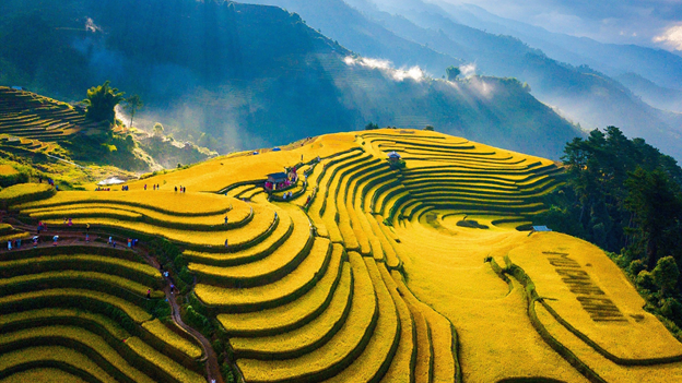 Bài viết chuyên sâu