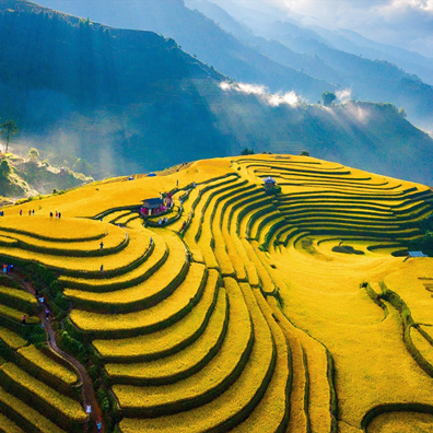 Bài viết chuyên sâu