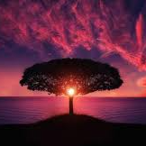 Bài viết đơn vị