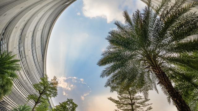 Nguyệt test tin 1 - TTD