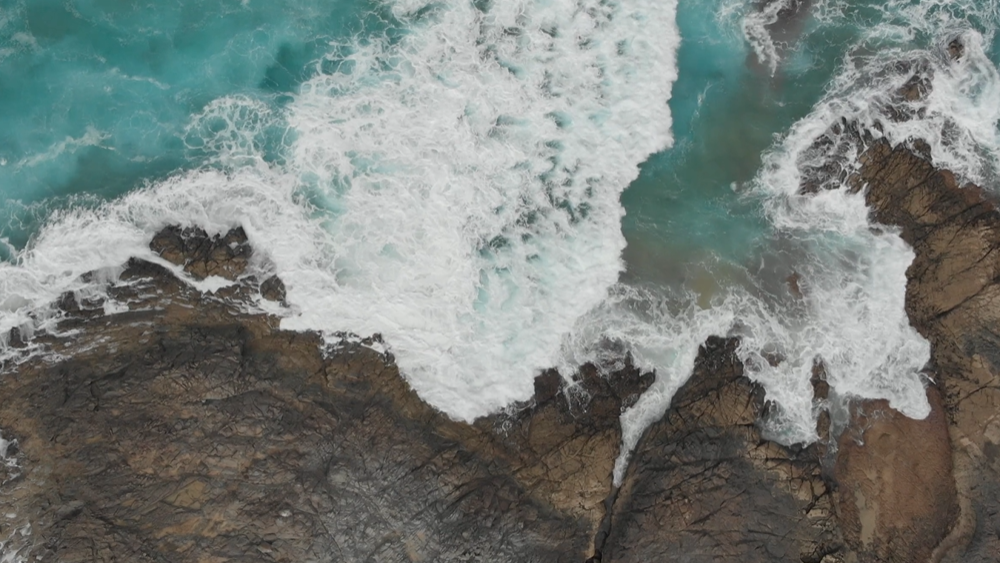 Test nhúng video vào bài viết video