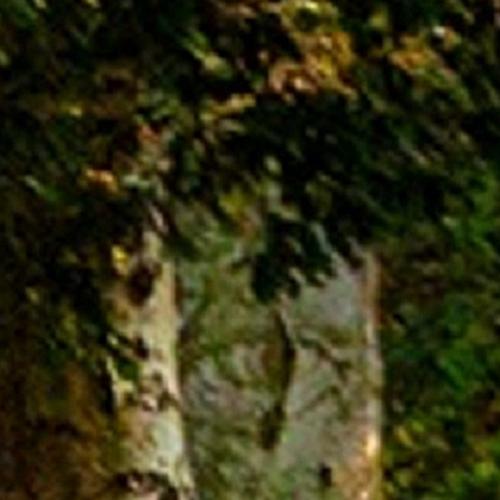 Khởi công tòa nhà Viettel Đà Nẵng trong ngày đầu kỷ nguyên mới