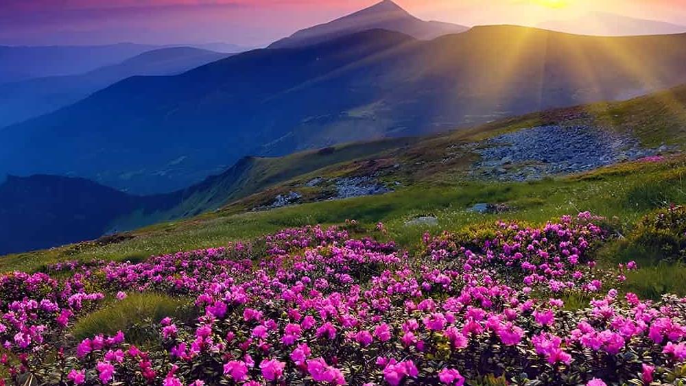 Test nghiệm thu 15/08/2025 tag tên