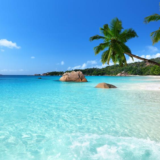 Những nỗ lực đồng bộ của Viettel trong chiến dịch xác thực thuê bao