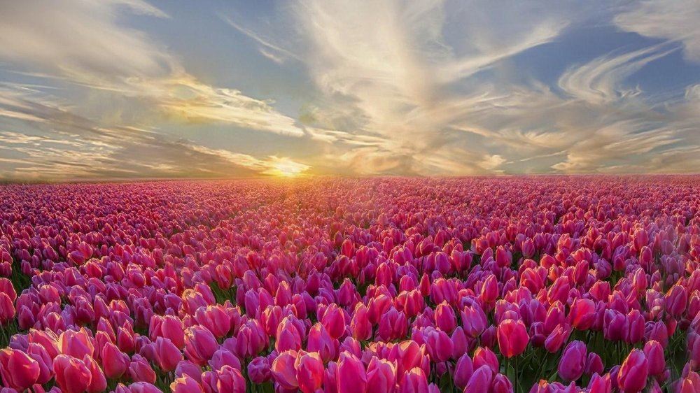 Bài viết test Ngyn vn Qng